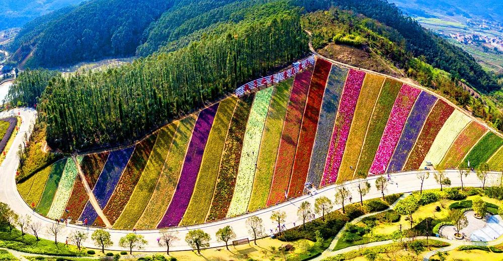 百年 法影 | 生态保护 绿色共享