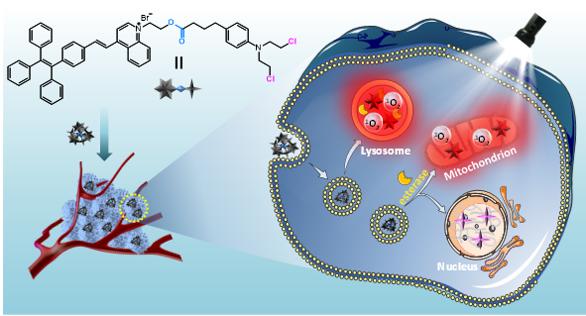 酯酶激活型诊疗前药实现双细胞器靶向肿瘤协同治疗