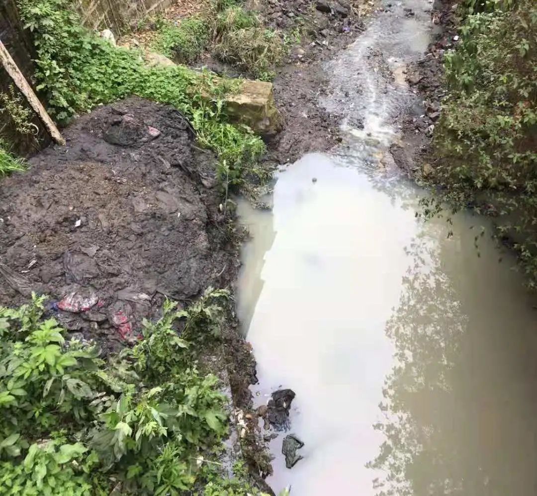 碧水清流!內江這條黑臭水體實現完美