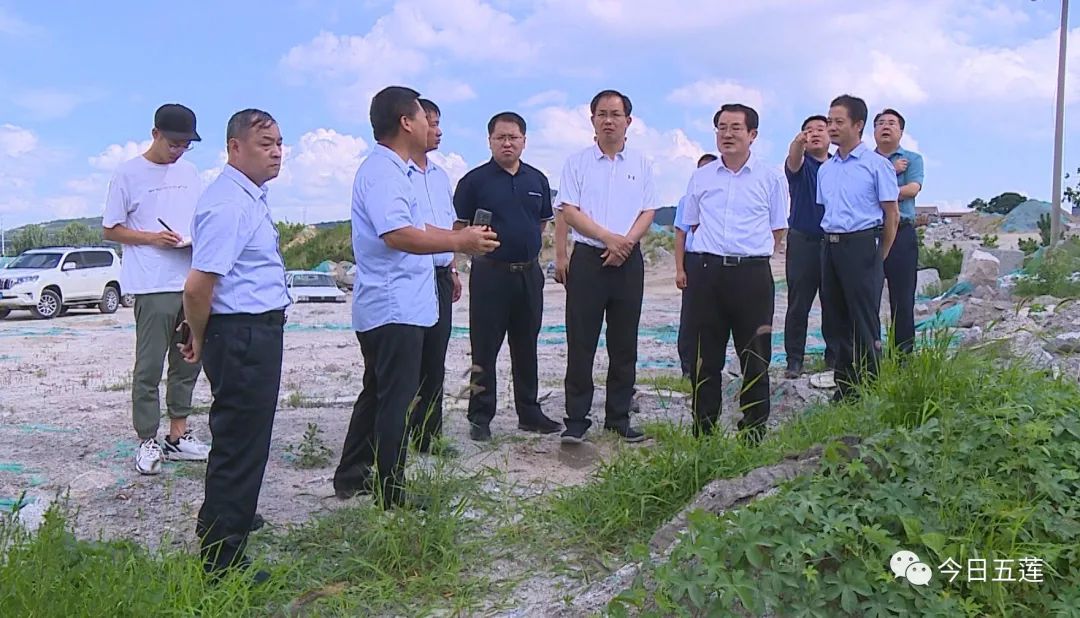 马维强到石材产业园(街头镇)现场督导推进矿区绿化工作