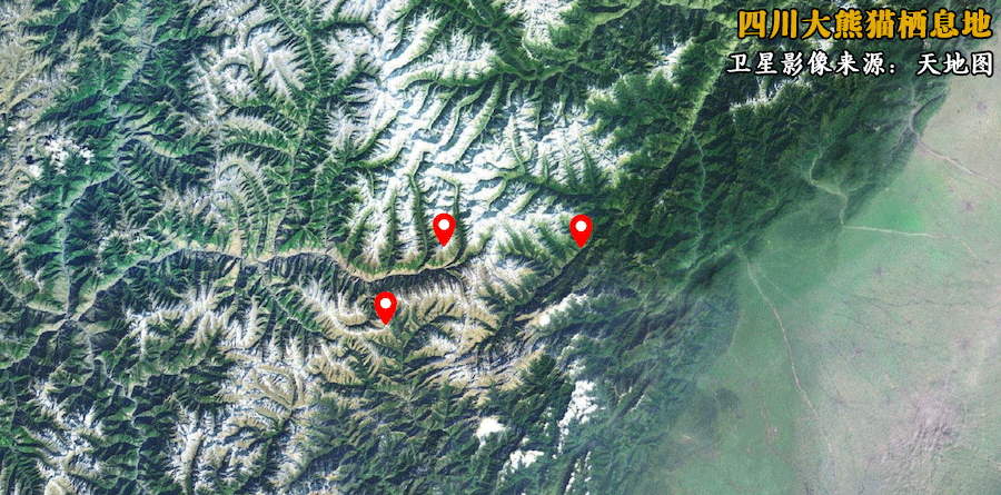 三纪原始热带森林遗迹四川大熊猫栖息地包括卧龙,四姑娘山,夹金山脉四