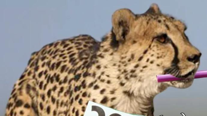 澎湃新闻 专注时政与思想 thepaper.cn