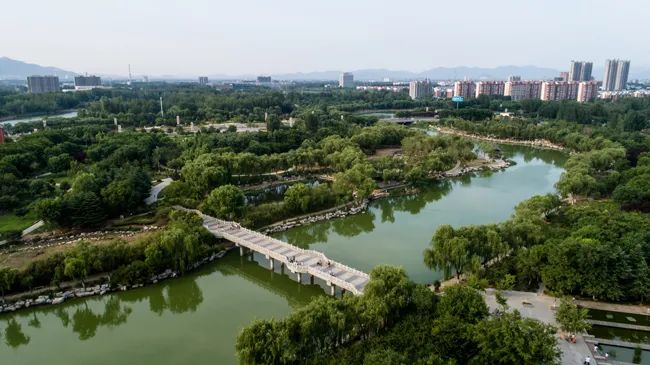 泰安明堂河湿地公园图片