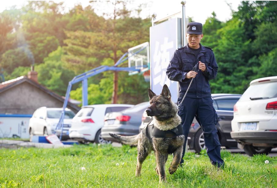 警界奇兵:警犬训导员和无言的战友