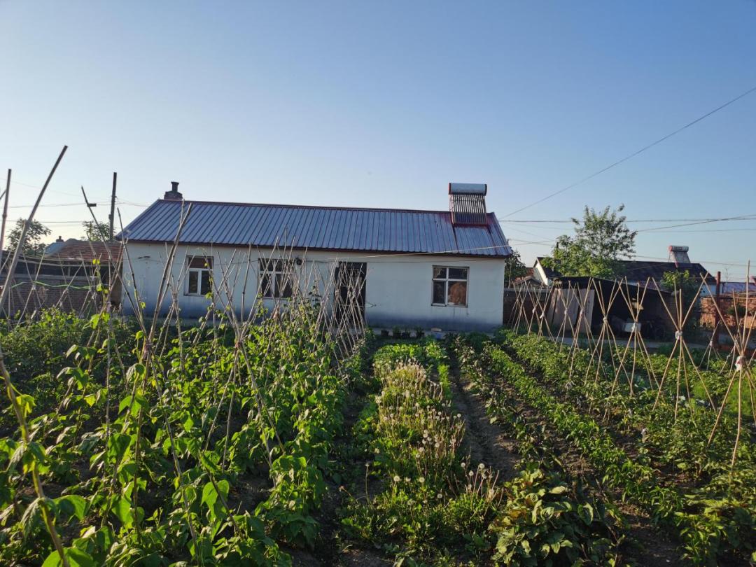 又一批巾帼生态小菜园亮相!这一波有颜值还有效益