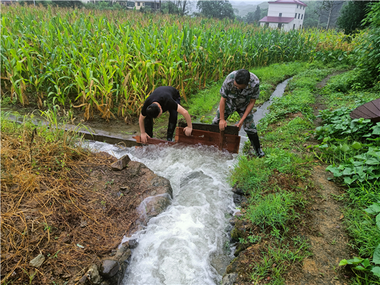 建德大同:党员干部迎风战,排水通渠保丰收