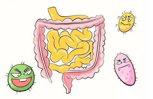 细菌感染卡通图片