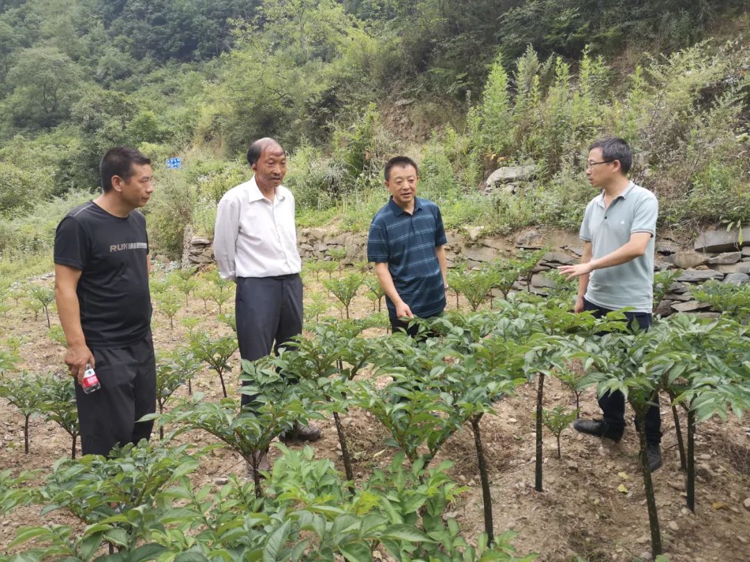 全市法院一周新闻全知道