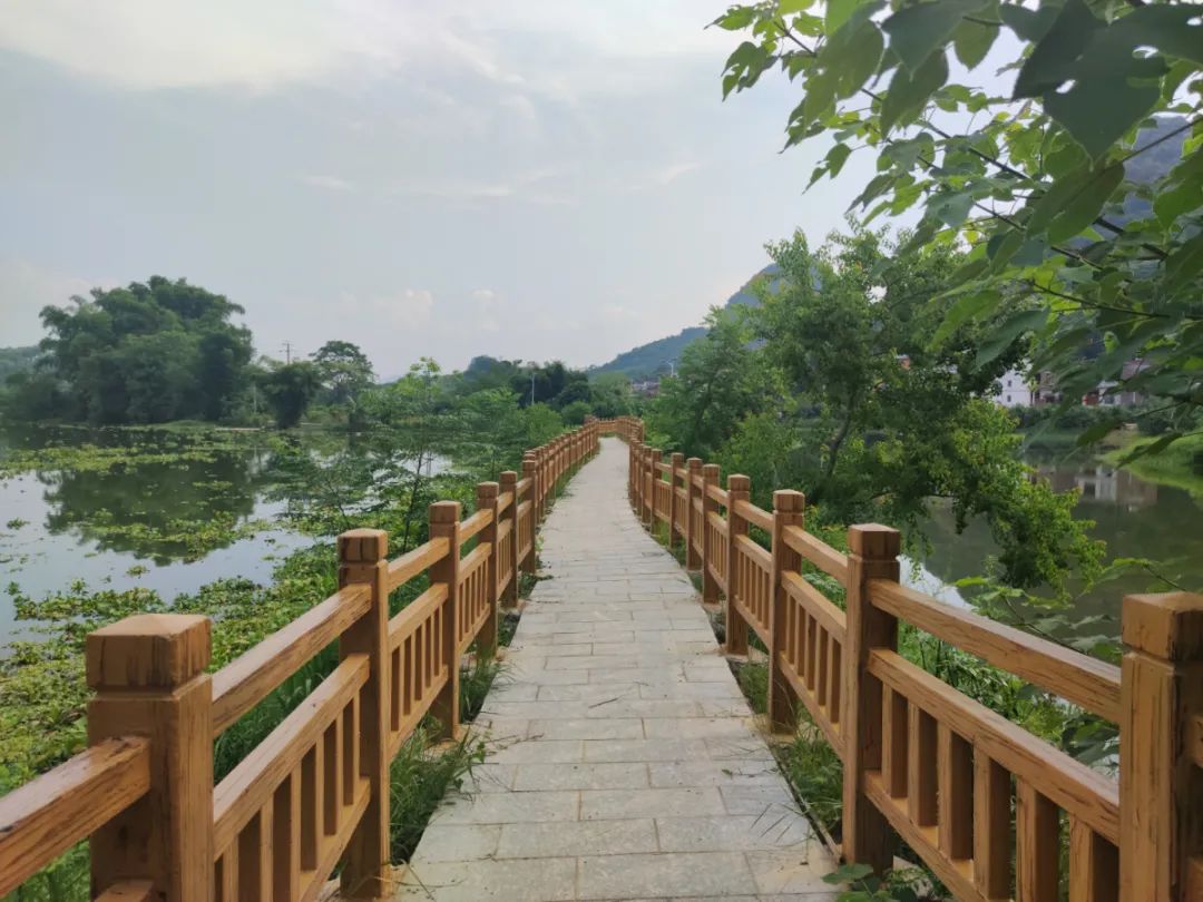 来宾日报牵手大乐镇党媒基层助力乡村振兴