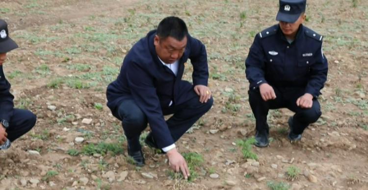 【建党百年·甘孜见证】书记走在产业振兴路上——更登泽郎