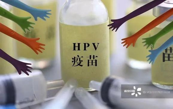 hpv疫苗接種指南