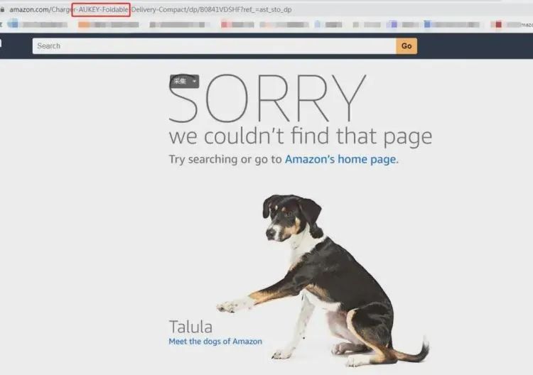 亚马逊大卖解封 没那么简单 封号潮持续三个月仍未平息