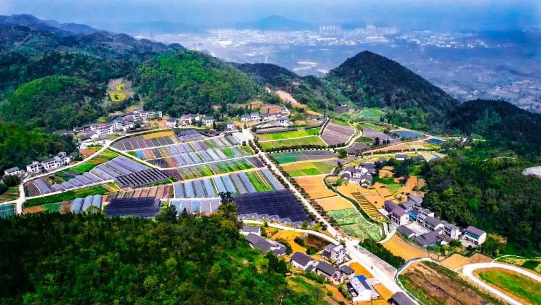 舌尖上的渝北味道洛碛镇沐丰园绿色生态餐