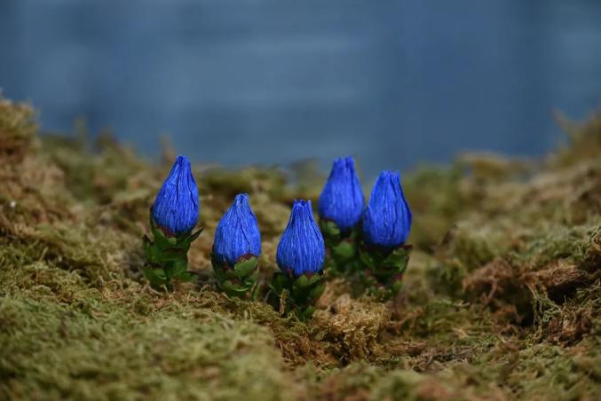 她花10年办了一个花展,骗了无数人,却被一致叫好:这双手,神了
