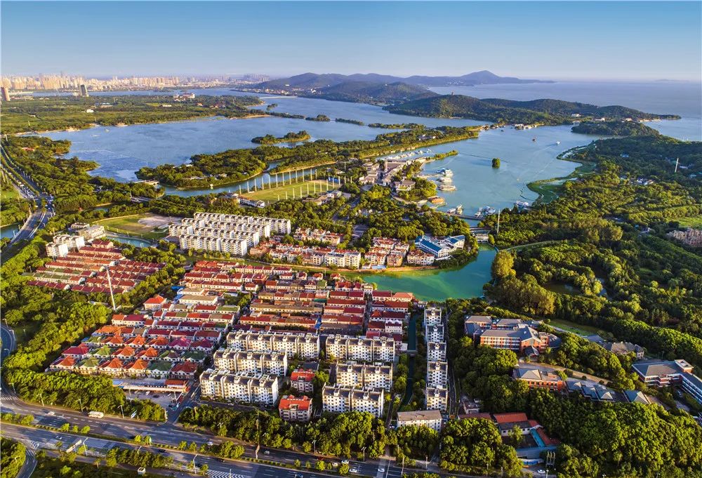 滨湖这五年 | 打造美好生活地标，滨湖何以争“C位”担当？