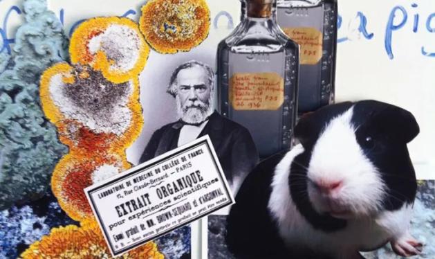 兴奋剂有哪几个 906.jpg