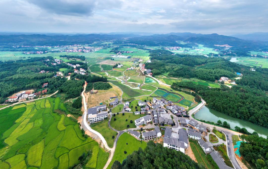 夏日咸宁 | 这个盛夏调色盘里,一定有你偏爱的颜色~