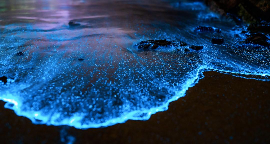 这座最有福气的城市常年被人忽略有山有海有老城美食比奥运更上头