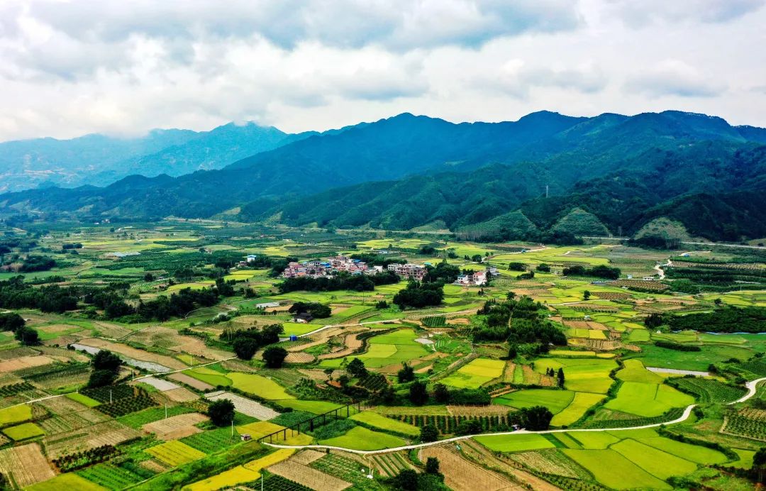 (记者周绍洪 通讯员韦荣军 近年来,融安县坚持"绿水青山就是金山银山