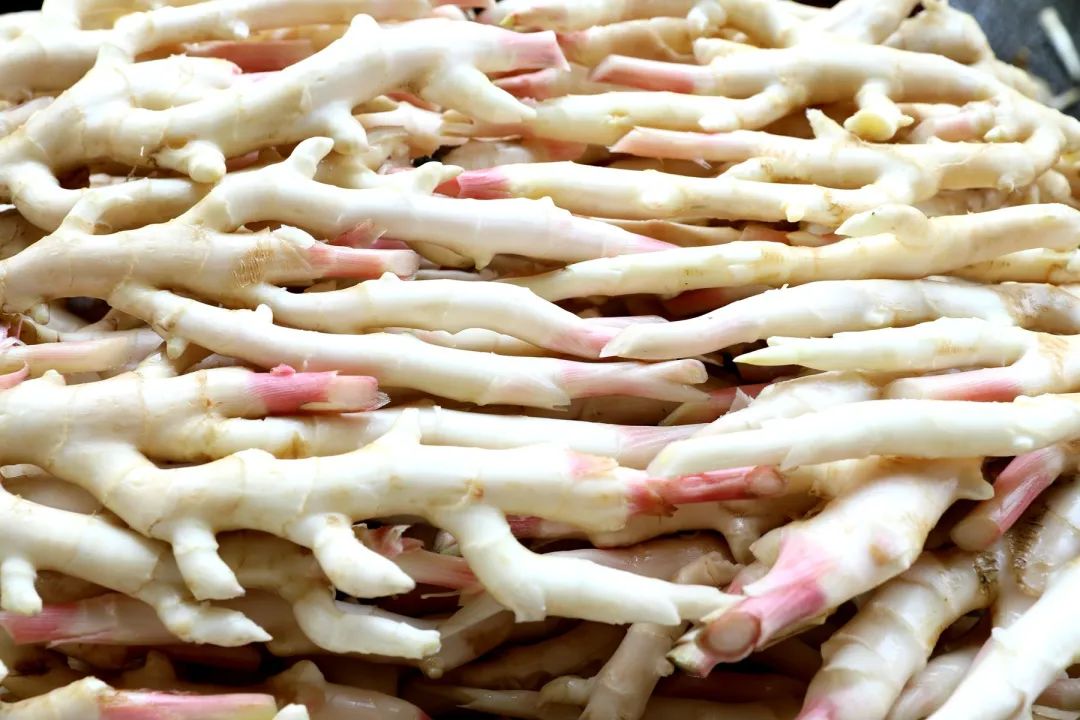 圆梦小康姜香四溢三都子姜新鲜上市啦