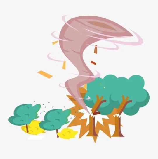 台风常识知多少