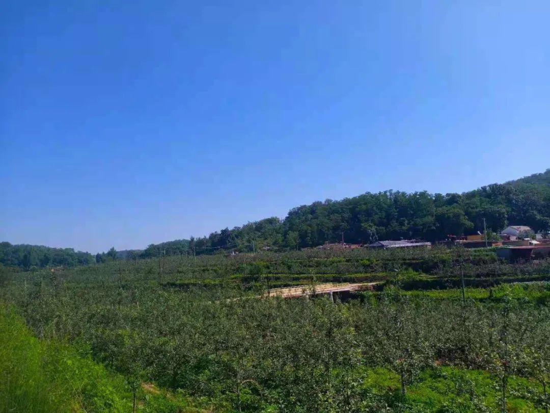 【美丽灵寿】生态九岭村