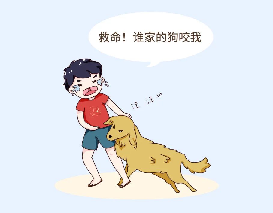 狗狗咬伤人谁负责?看《民法典》怎么说