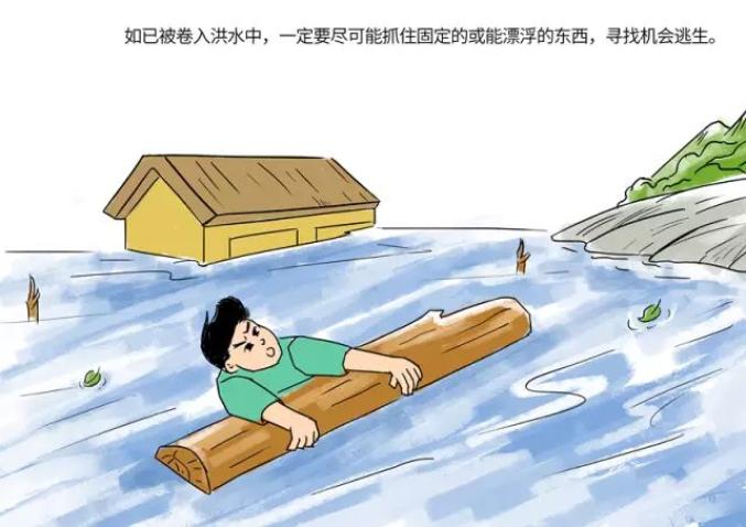 防汛安全小常识漫画手册之【洪水篇】