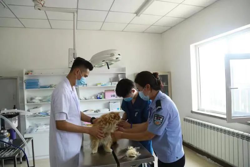 大连警方公布预约电话