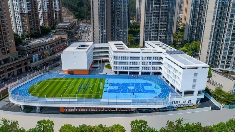 深圳这个学校"绿"了!