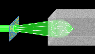 生物体“光学透明化”：高速散射光场调控