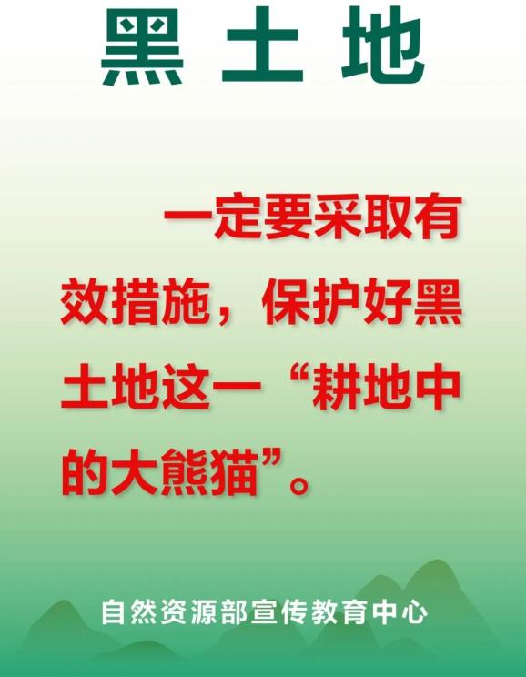 每日一词耕地中的大熊猫黑土地