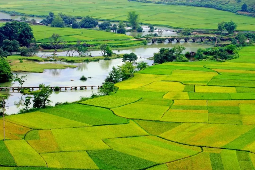 又美又凉快德保是什么神仙地方