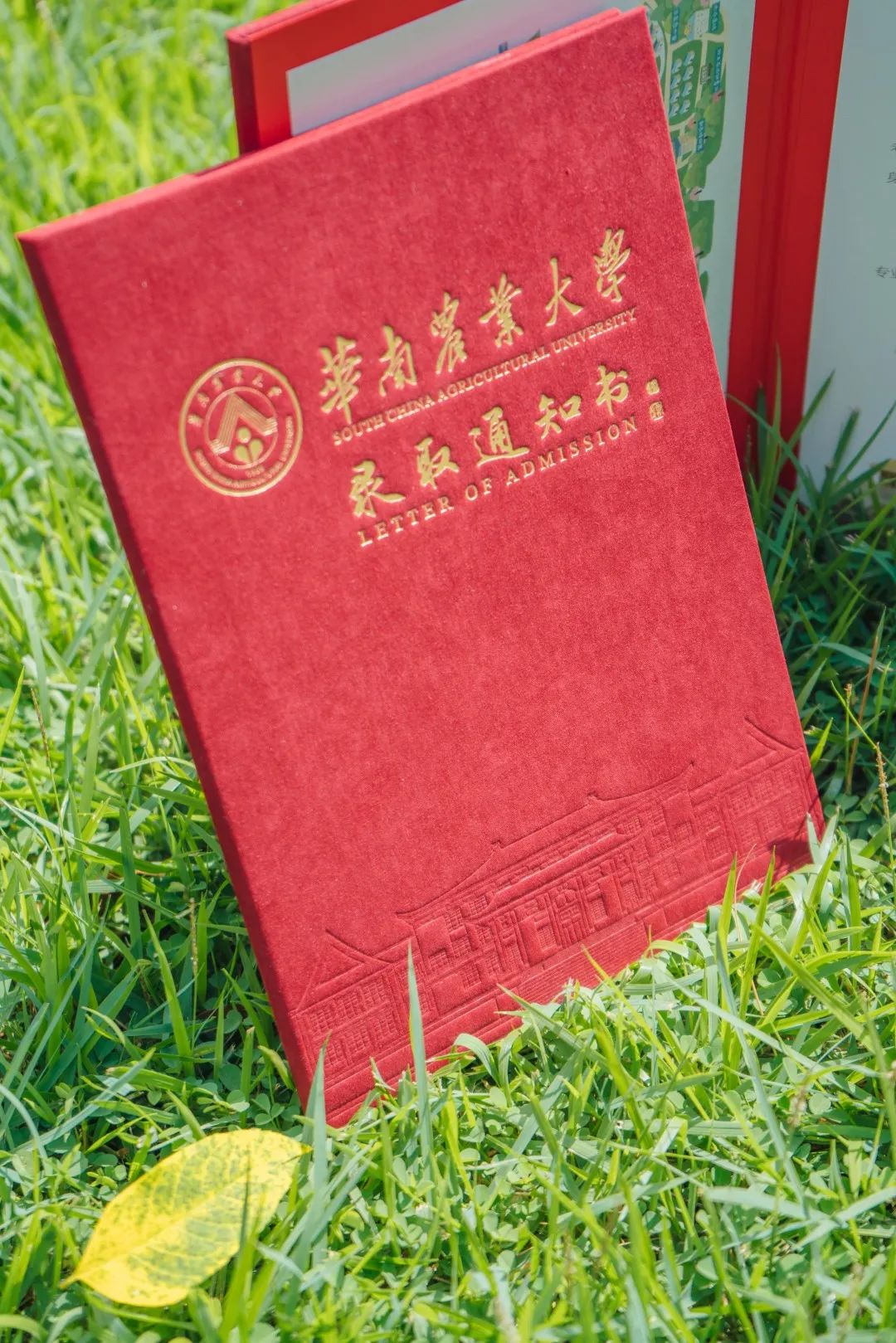 金色年华红底金笔,富丽典雅——华南农业大学进入"梦想开始的地方"沿