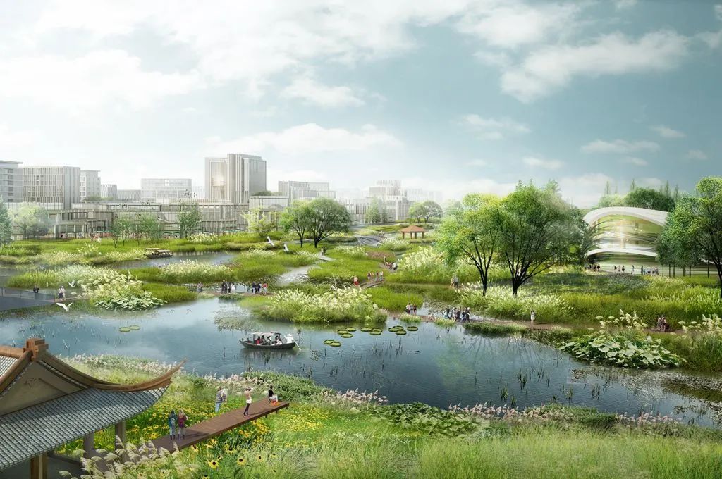 雄安新区安新组团控详规专家解读来了