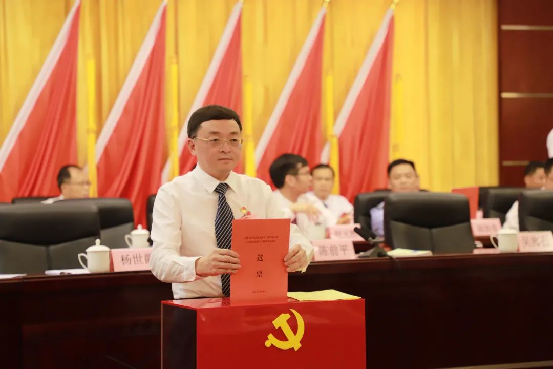 新一届武宣县委委员,候补委员,县纪委委员名单出炉