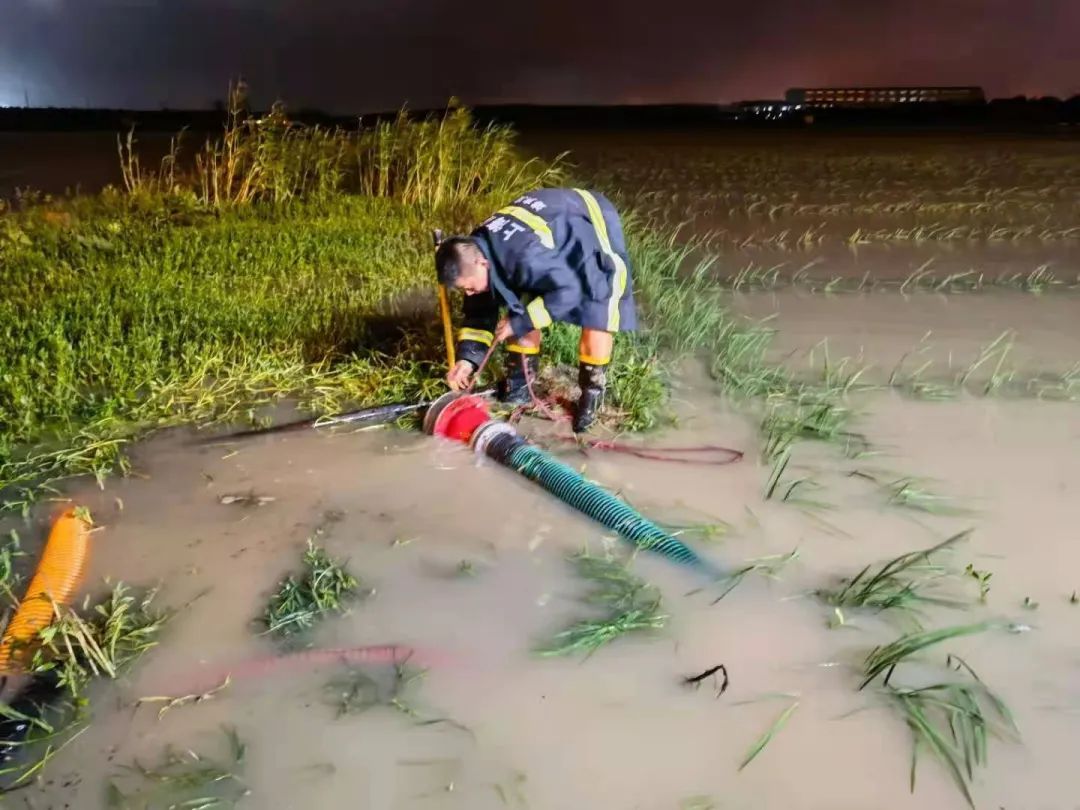 水稻排水图片图片