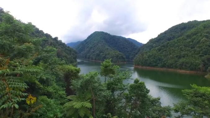 迎cop15看雲南精彩寶貝太多紅河州綠春縣這個國際生物走廊必須去打