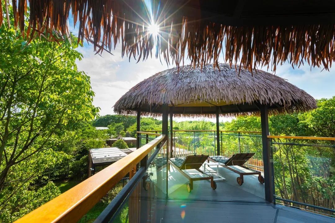 吸睛鸟巢上线感受童话田园生活来度假区这家露营地就对啦