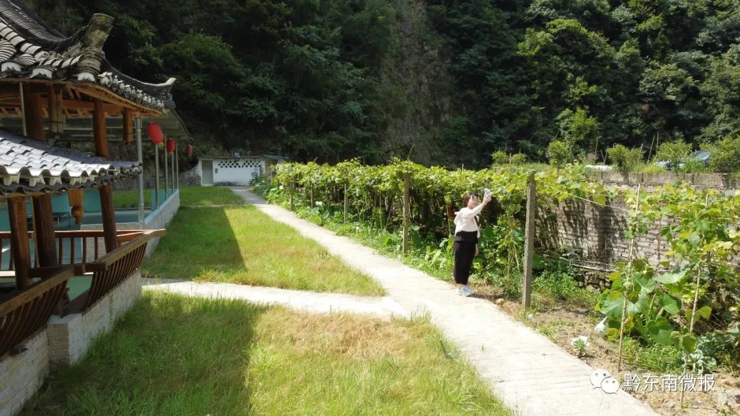 雷山又多了一个宜居宜游的美丽乡村