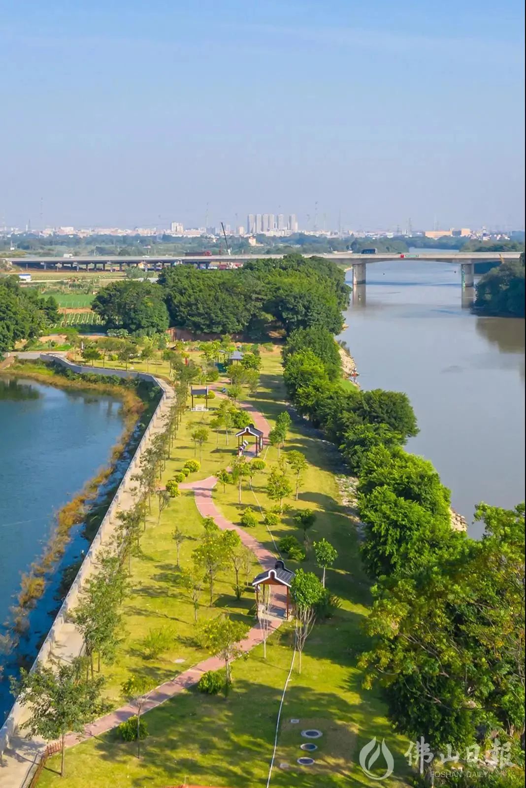 暑期游三水④丨发现"宝藏地"!赏花海,品河鲜,游船…一条线路满足你!_