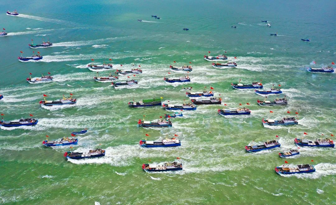 三门347艘渔船出海第一网海鲜马上上桌你准备好了吗