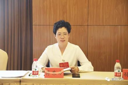 蒋东方参加庞口镇代表团讨论