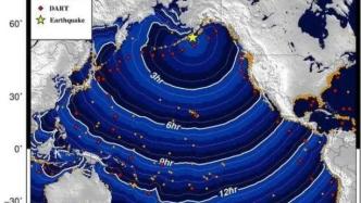 阿拉斯加以南海域發生8.2級地震，多國相關部門發出海嘯預警|美加新聞播報