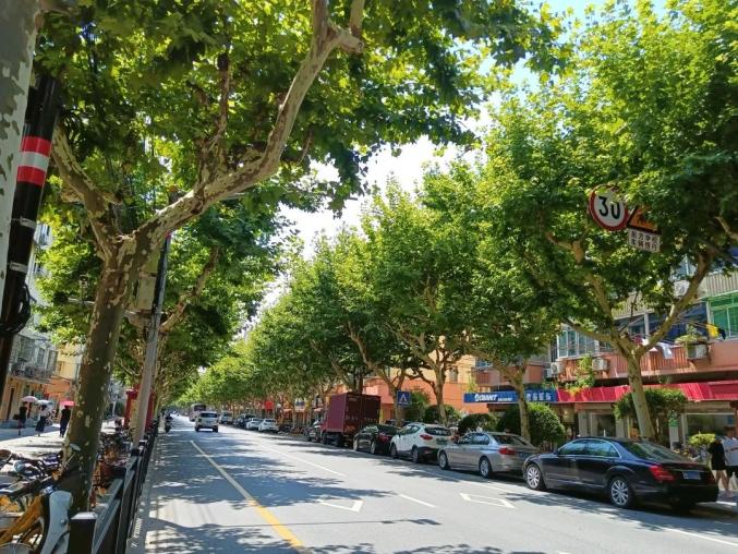 仙霞路(古北路——威宁路)