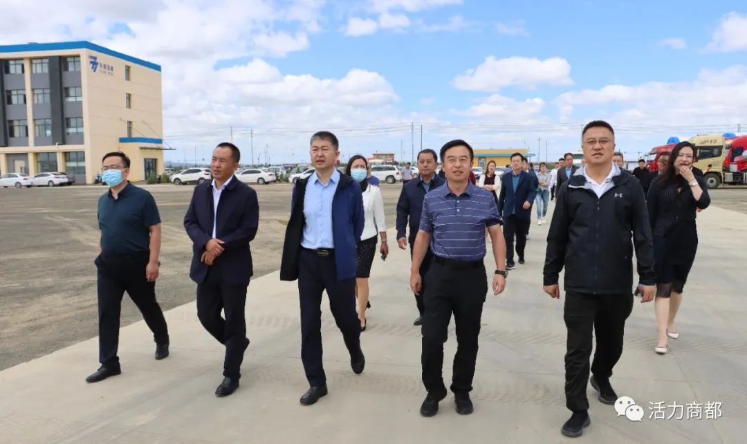 政法委书记姚海峰,县委常委,统战部长韩大伟,政府副县长张晓玲,韩天亮