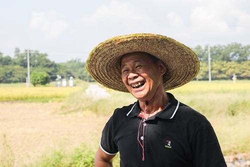 一碗米饭背后的现代农业秘密与智慧探秘广东宝藏园①
