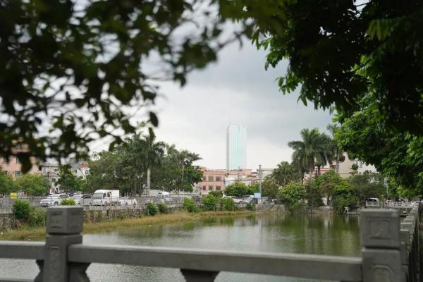 厚街桥头社区打造旱龙故里龙舞桥头精品社区