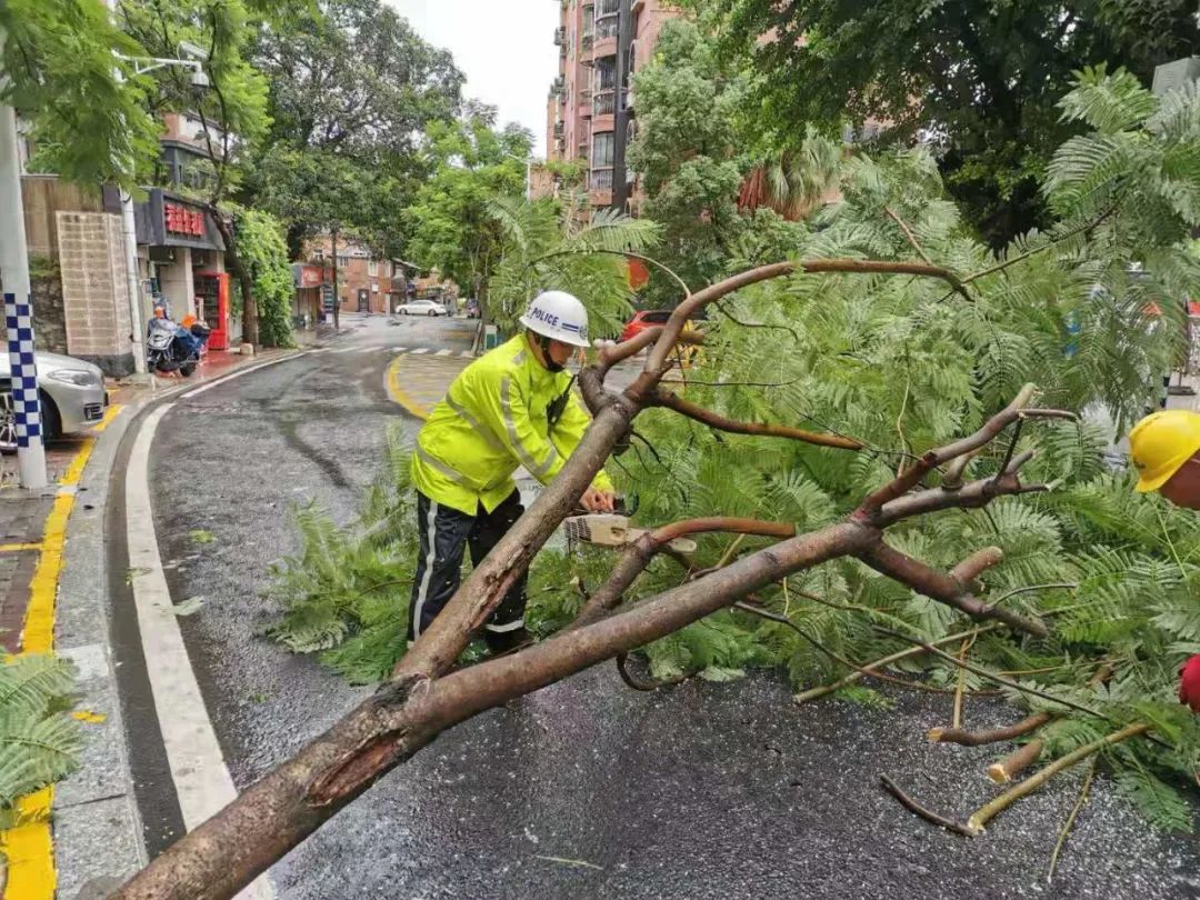 台风"卢碧"在东山二次登陆,各地交警迎风战雨,硬核护航保障畅通!