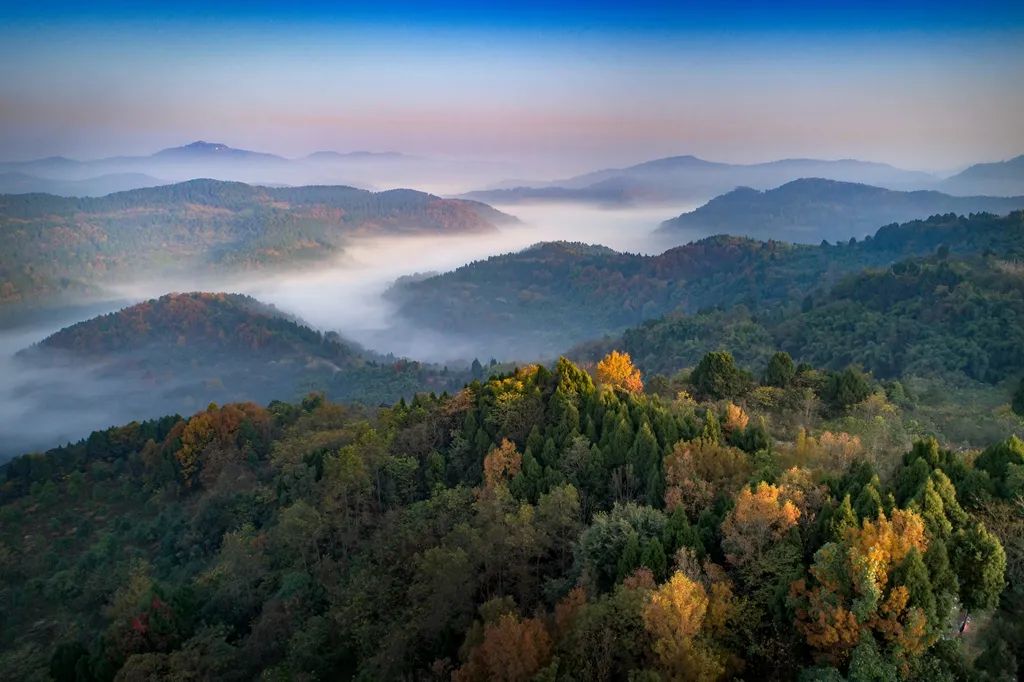 包山头植绿龙泉山3年植树履责2万亩